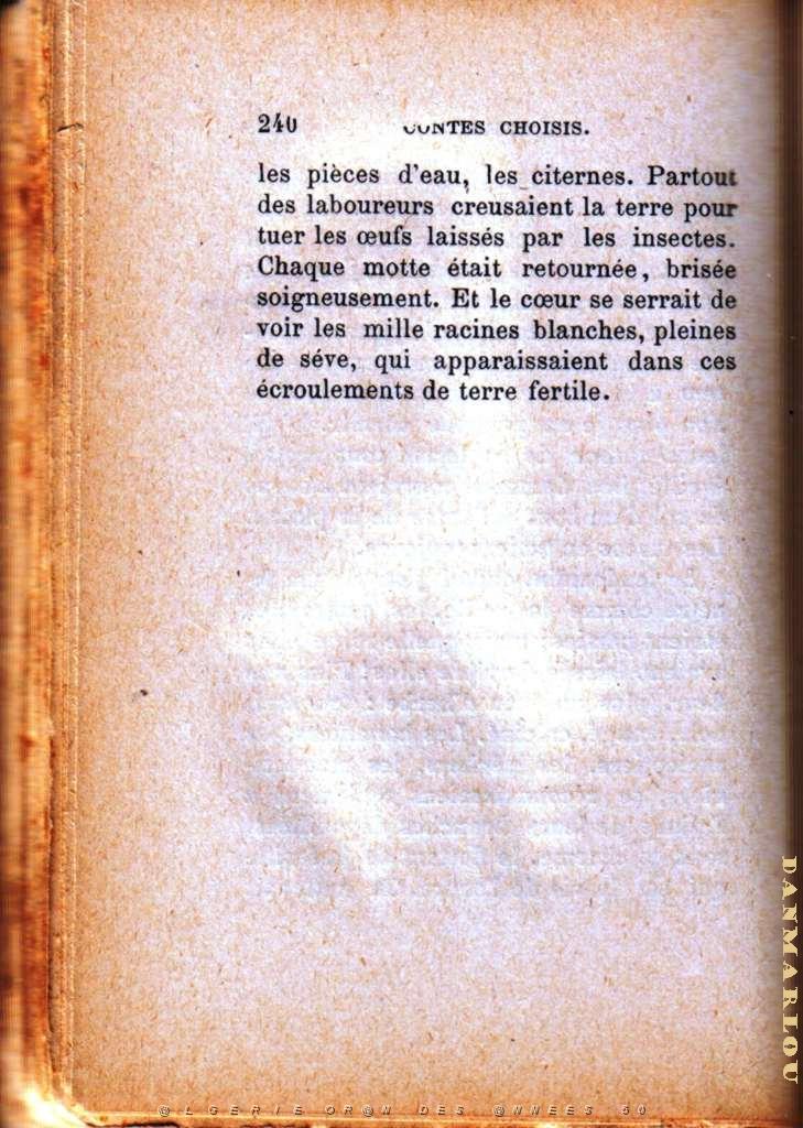 les sauterelles10.jpg - LEAD Technologies Inc. V1.01